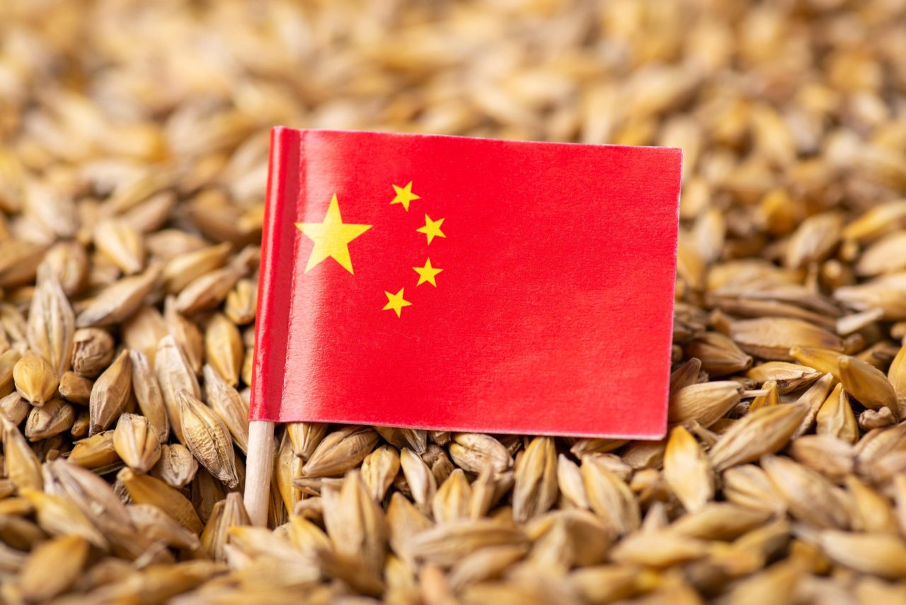 中国の食糧自給体制　台頭するChina CO-OPの役割